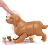 Coffret Barbie Naissance des Chiots avec Poupée Barbie (Blonde, 29cm)