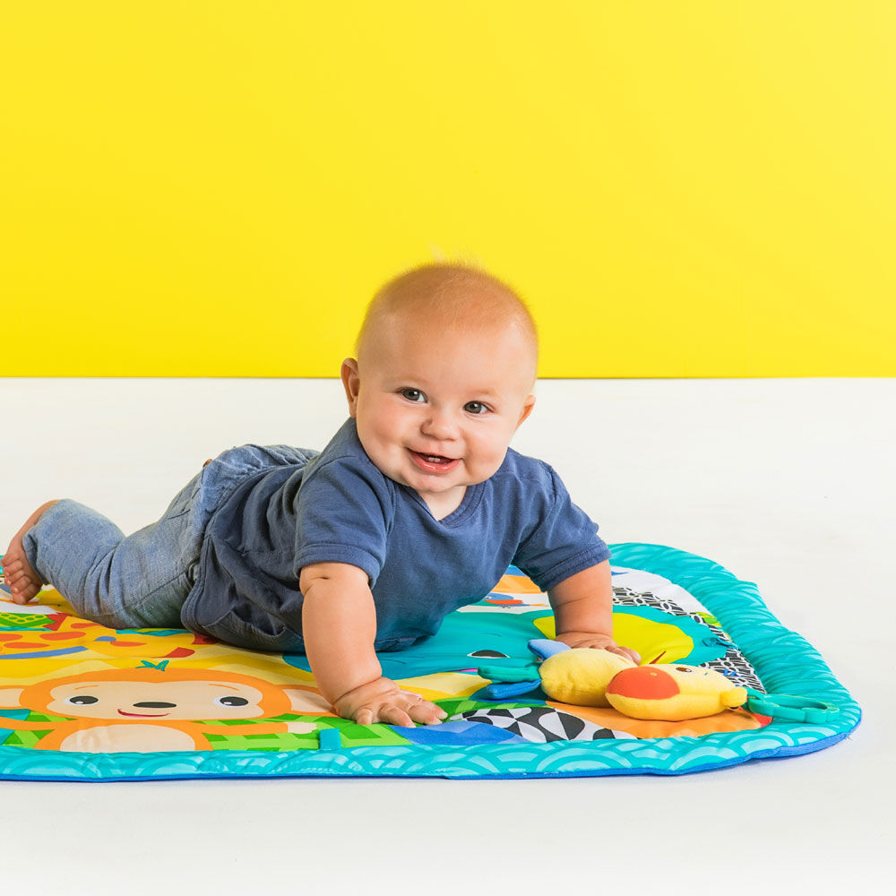 zippy zoo activity gym