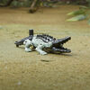 Transformers: Rise of the Beasts, Beast Alliance, figurine Beast Battle Masters Skullcruncher de 7,5 cm