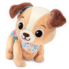 VTech Baby Explore & Move With Puppy - English Edition