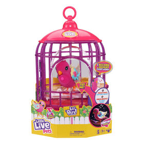 Little Live Pets Lil' Bird Bird & Cage Tiara Twinkles