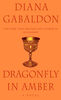 Dragonfly in Amber - English Edition