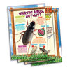 SmartLab Bug Playground Insect Inspector Lab - English Edition