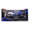 Fast Lane RC - 1:16 RC Truck - Ford Shelby F-150