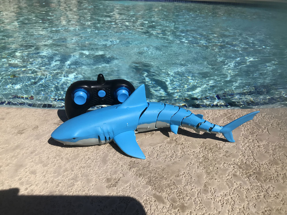 toy shark that moves