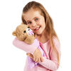 Little Live Pets - Cozy Dozy - Cubbles