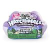 Hatchimals CollEGGtibles - 2-Pack Egg Carton with Special Edition Season 4 Hatchimals CollEGGtibles (Styles and Colors May Vary)
