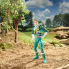 Power Rangers Lightning Collection Dino Charge Green Ranger 6-Inch Premium Collectible Action Figure