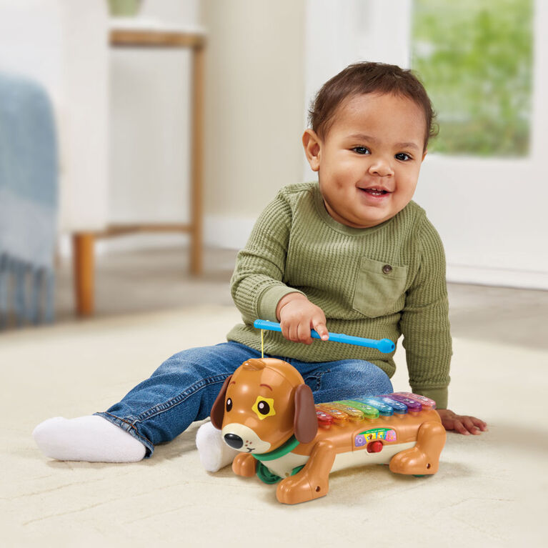 VTech Zoo Jamz Doggy Xylophone - French Edition