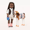 Poulain Pinto Paso Fino, Our Generation, Cheval de 12 po