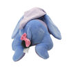 Disney - Eeyore - Winnie The Pooh Sleeping Baby Plush