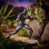 Marvel Legends Series Black Panther 6-inch Black Panther Figure