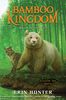 Bamboo Kingdom #2: River of Secrets - English Edition