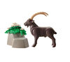 Playmobil - Wiltopia - Ibex