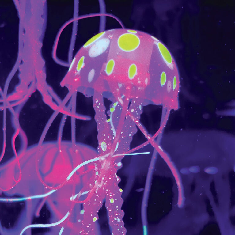 Aquarium de méduses Discovery