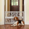 North States Mypet Paws Portable Petgate - Grey