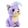 Scruff A Luv'' Cutie Cuts Purple