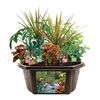 Tropical Rainforest Jungle Biosphere Terrarium - English Edition