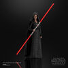 Star Wars The Black Series Rey (Dark Side Vision) Toy