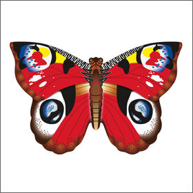 Cerf-volant papillon - paon