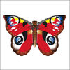 Cerf-volant papillon - paon