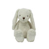 Animal Adventure Little Bunn