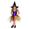 Glitter Witch Costume