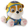 Paw Patrol - Peluche de 20 cm - Sea Patrol - Ruben