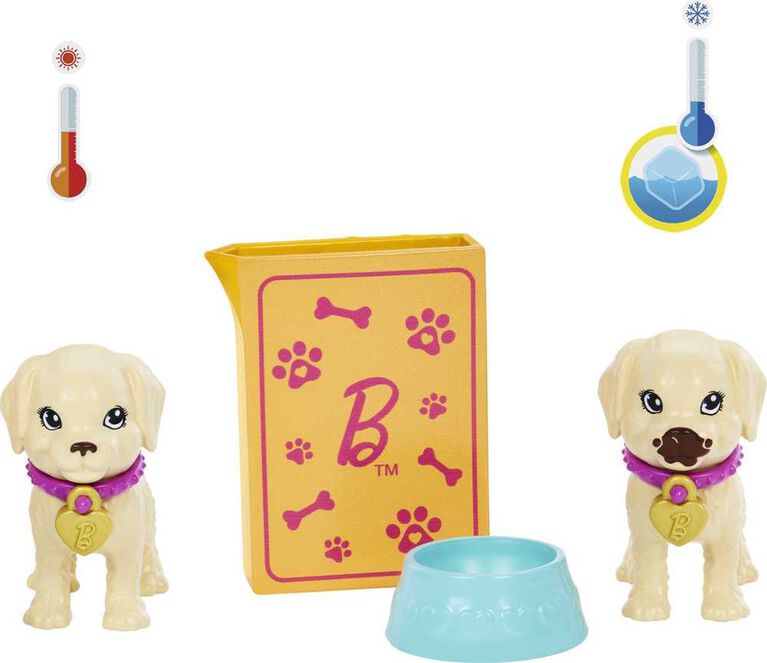 Barbie Barbie Adopte Un Chiot, coffret avec poupée et 2chiots
