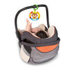 Bright Starts Shake & Glow Monkey