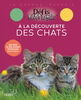 À la decouverte des chats