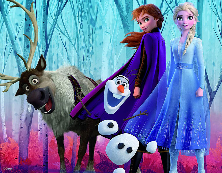 Ceaco Disney Classiques 5 in 1 Multi Pack Puzzles Frozen 2