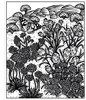 Wild Flowers Magic Painting Book - English Edition