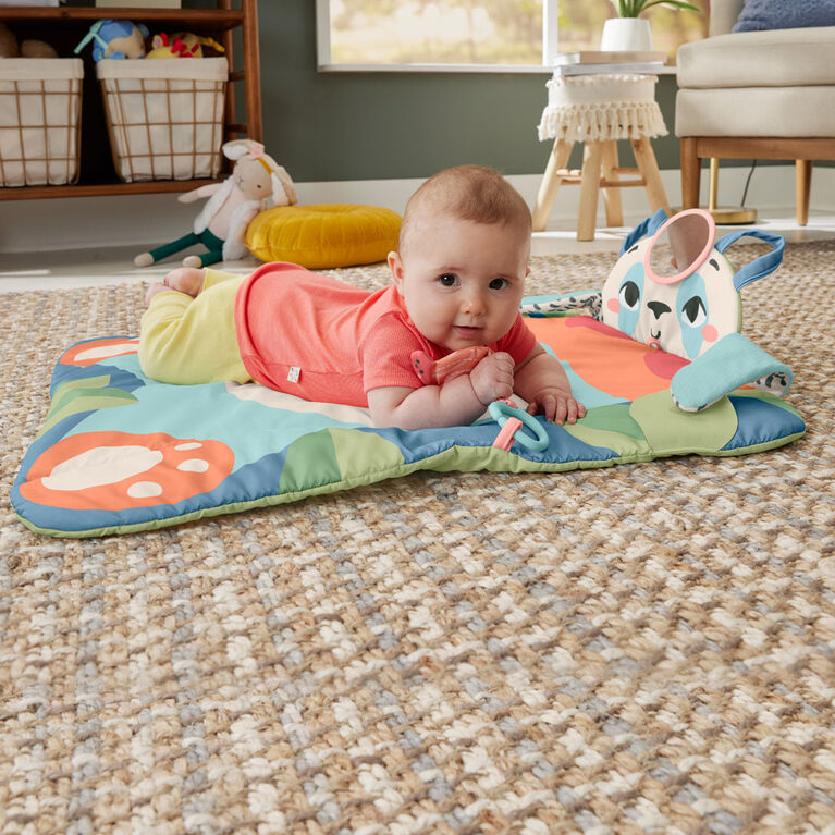 Fisher-Price Planet Friends Roly-Poly Panda Baby Activity Play Mat with 2 Toys