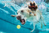 Underwater Dogs Daisy 150 pc Casse-Tete Super 3D