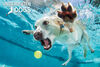 Underwater Dogs Daisy 150 pc Super 3D Puzzle