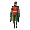 DC Collectibles: Batman: The Adventures Continue - Robin Figure
