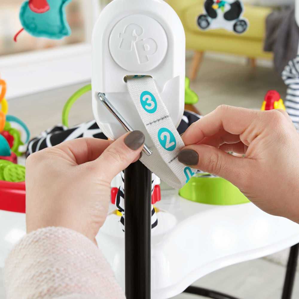 Fisher price jumperoo toys r us hotsell
