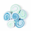 Tendertyme 12 Pack Lollipop Washcloth: Blue