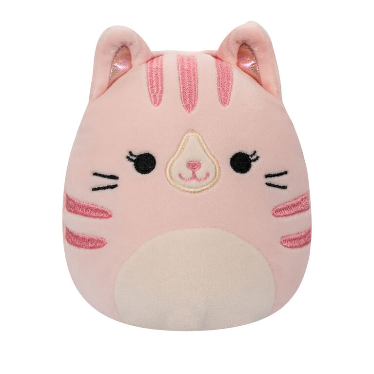 Squishmallows 5" Flip-A-Mallows - Laura/Shena - Pink Tabby Cat/Rainbow Tie-Dye Dog