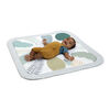 Ingenuity Tapis de jeu Sprout Spot Baby Milestone