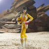 Power Rangers Lightning Collection Mighty Morphin Yellow Ranger Action Figure