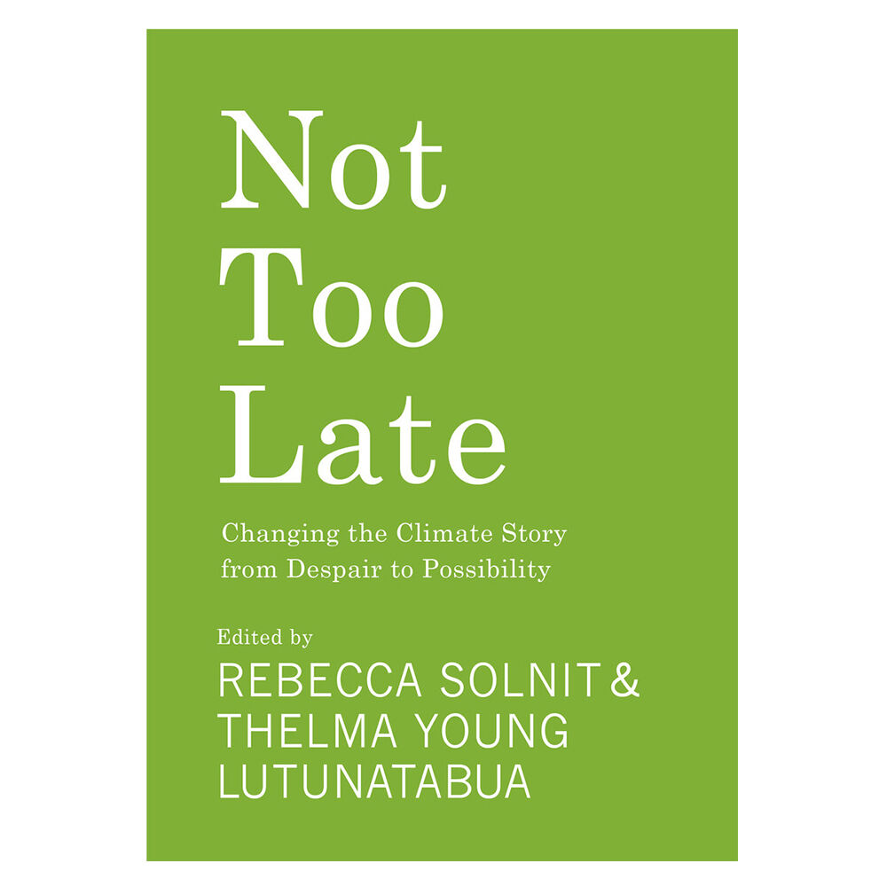 Not Too Late - English Edition