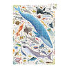 Puzzlove Animaux Marins