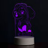 PAW Patrol 3D LED Night Light Skye