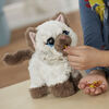 FurReal Friends - Kami, mon chaton au p'tit coin.
