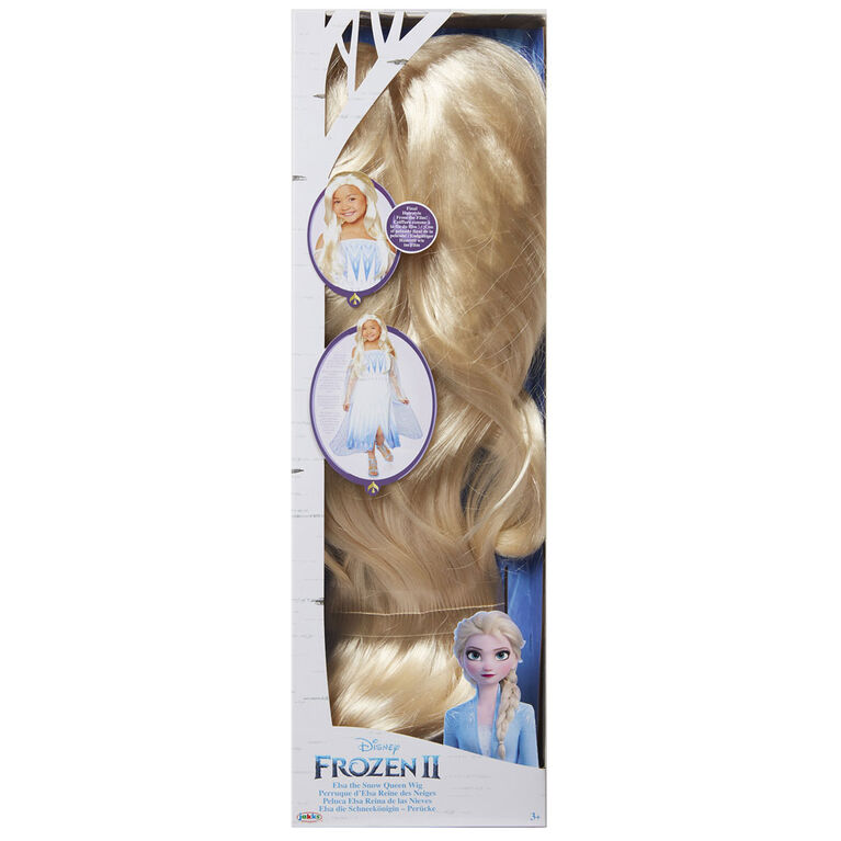 Frozen II Elsa Epilogue Wig