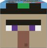 Minecraft Toys | Mob Head Minis Figures