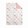 Baby's First By Nemcor Ultimate Sherpa Baby Blanket- Pink Cloud Design