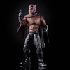 Hasbro Marvel Legends Series X-Men Magneto and Professor X 6-inch Collectible Action Figures Toys